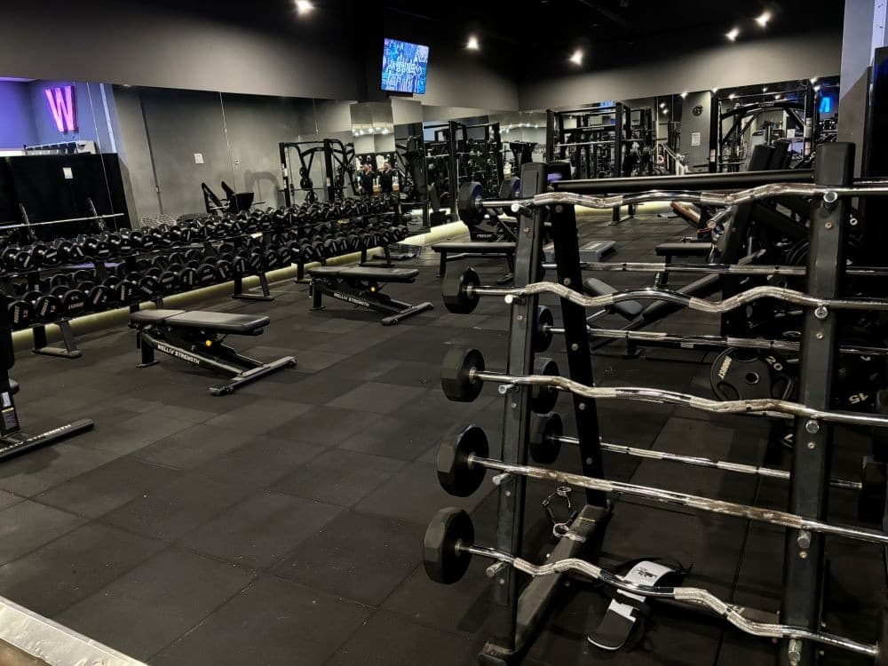 Photo by https://kr.object.ncloudstorage.com/fibud-storage/fibud/prod/origin/resume/158.jpg