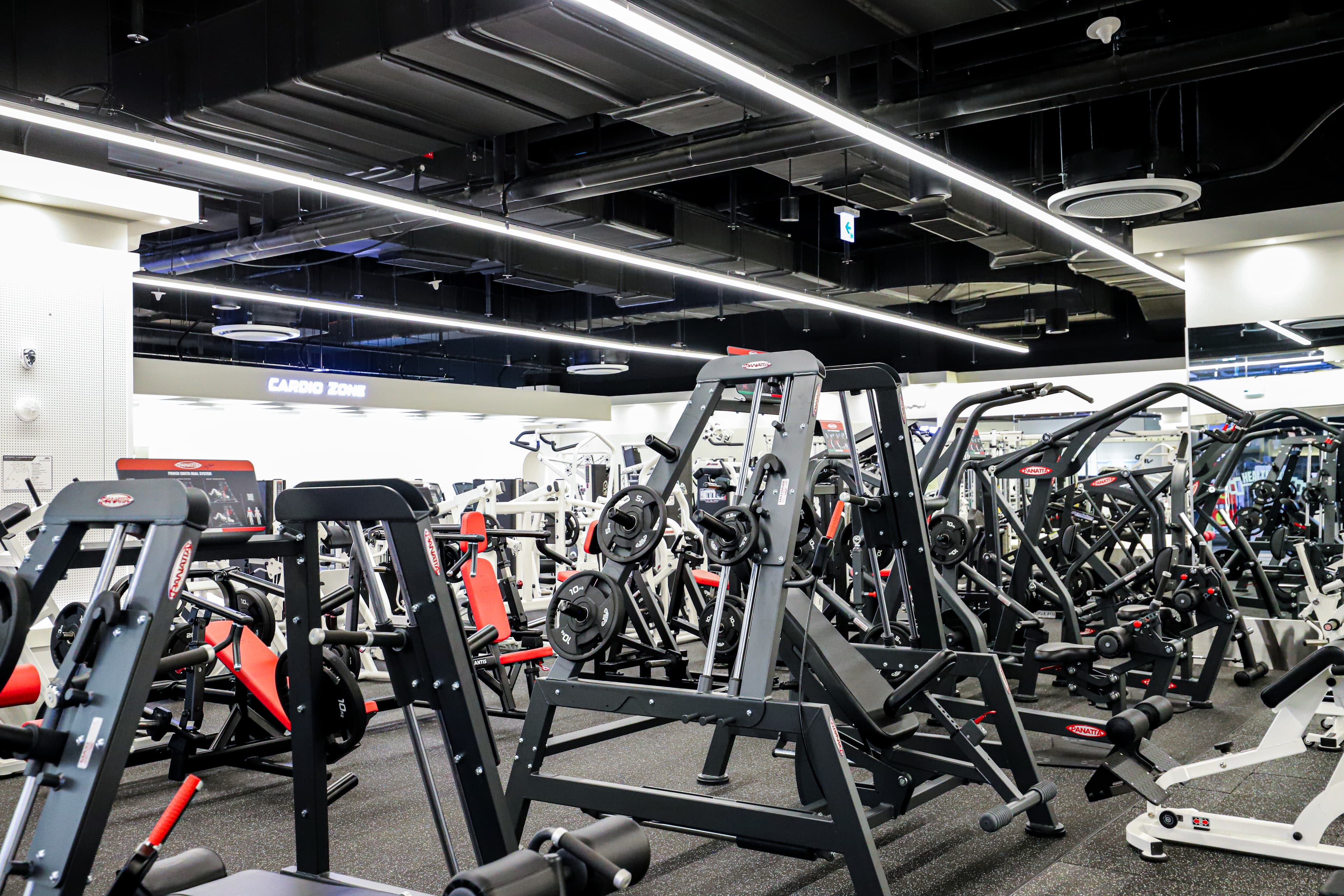 Photo by https://kr.object.ncloudstorage.com/fibud-storage/fibud/prod/origin/resume/16.jpg