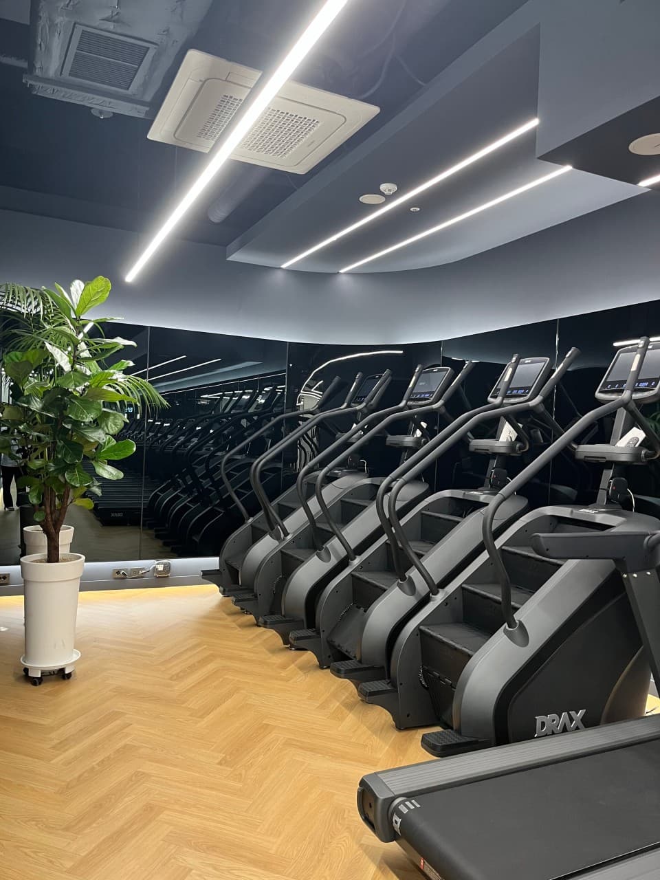 Photo by https://kr.object.ncloudstorage.com/fibud-storage/fibud/prod/origin/resume/162.jpg