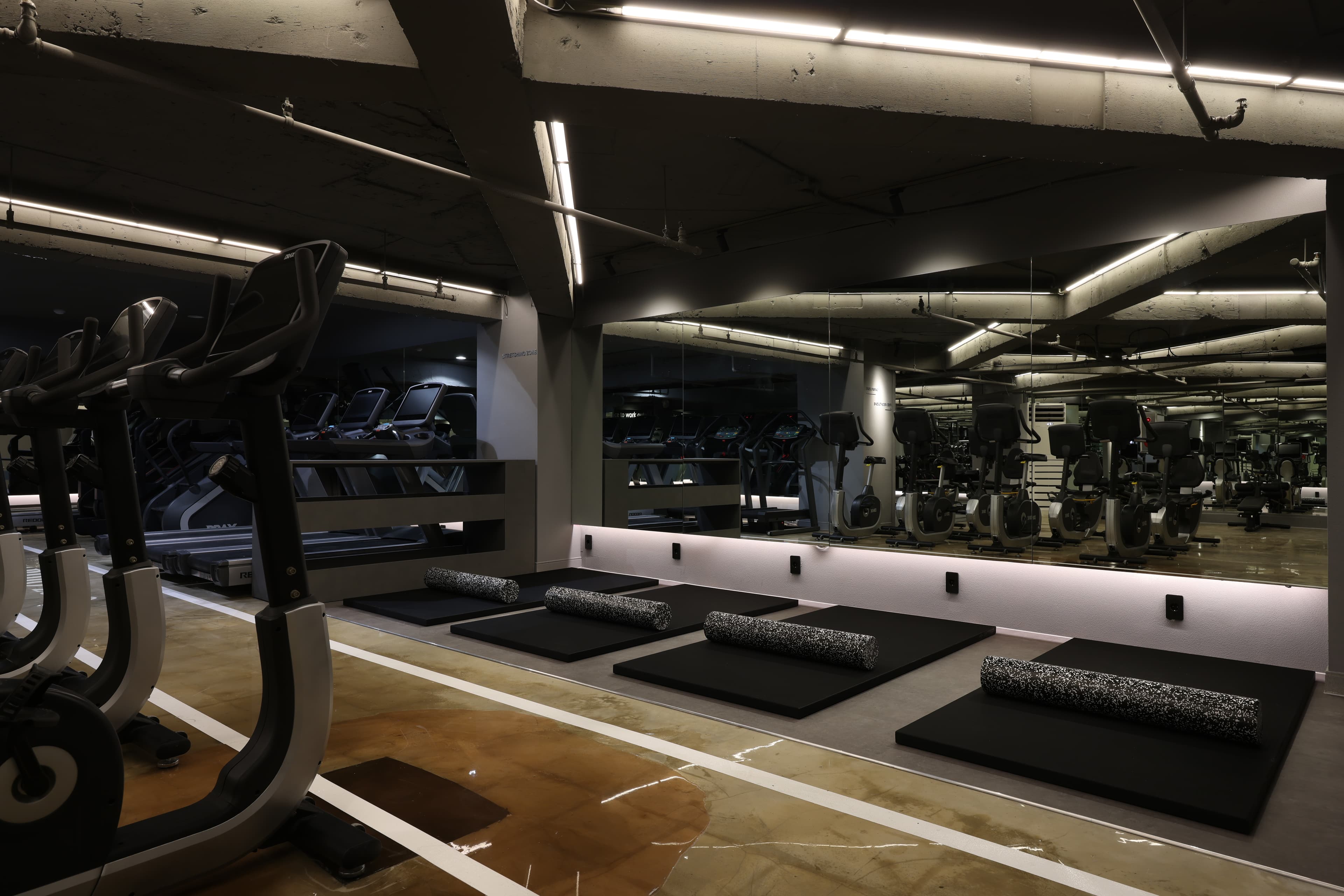 Photo by https://kr.object.ncloudstorage.com/fibud-storage/fibud/prod/origin/resume/258.jpg