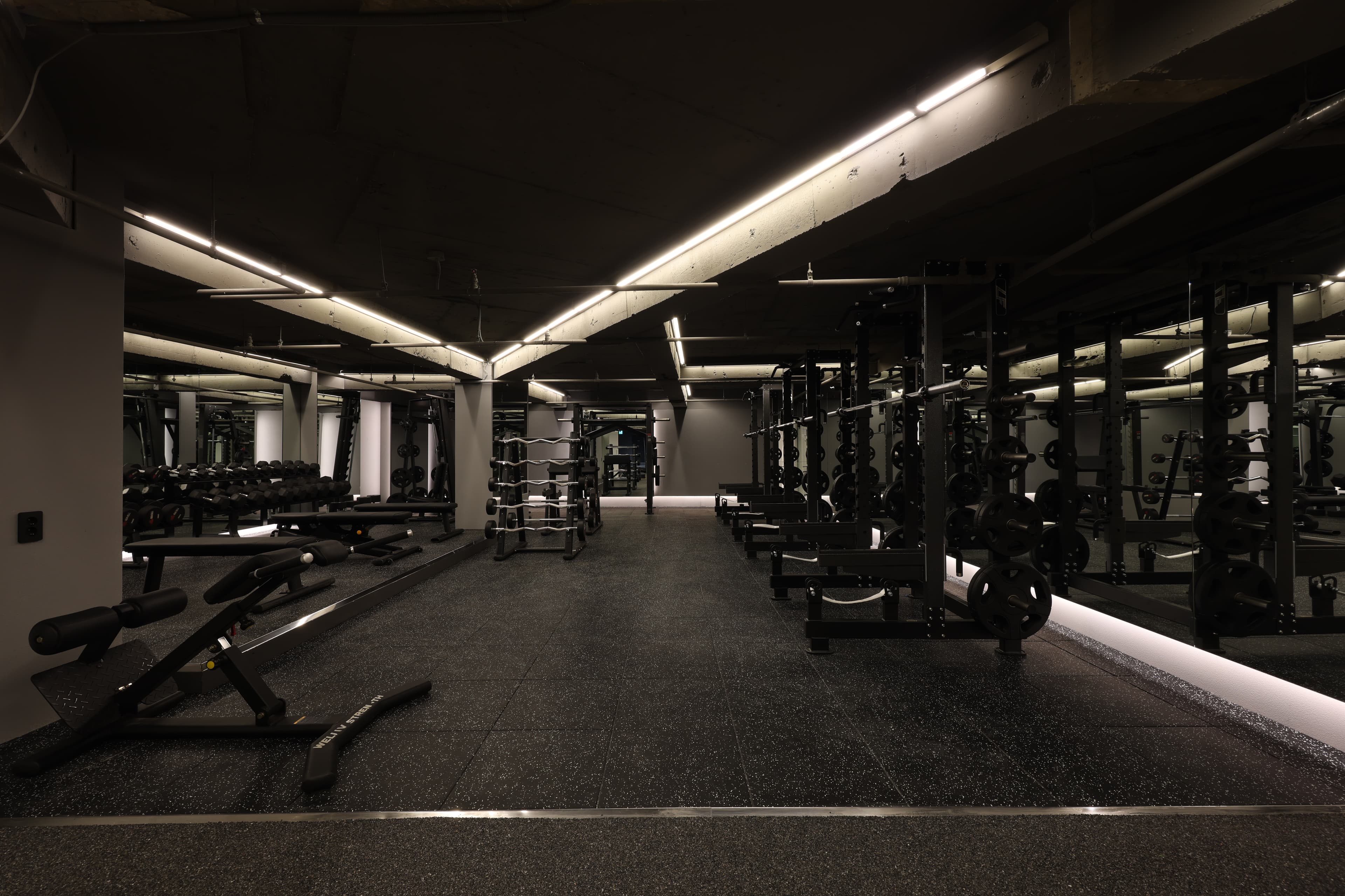 Photo by https://kr.object.ncloudstorage.com/fibud-storage/fibud/prod/origin/resume/259.jpg