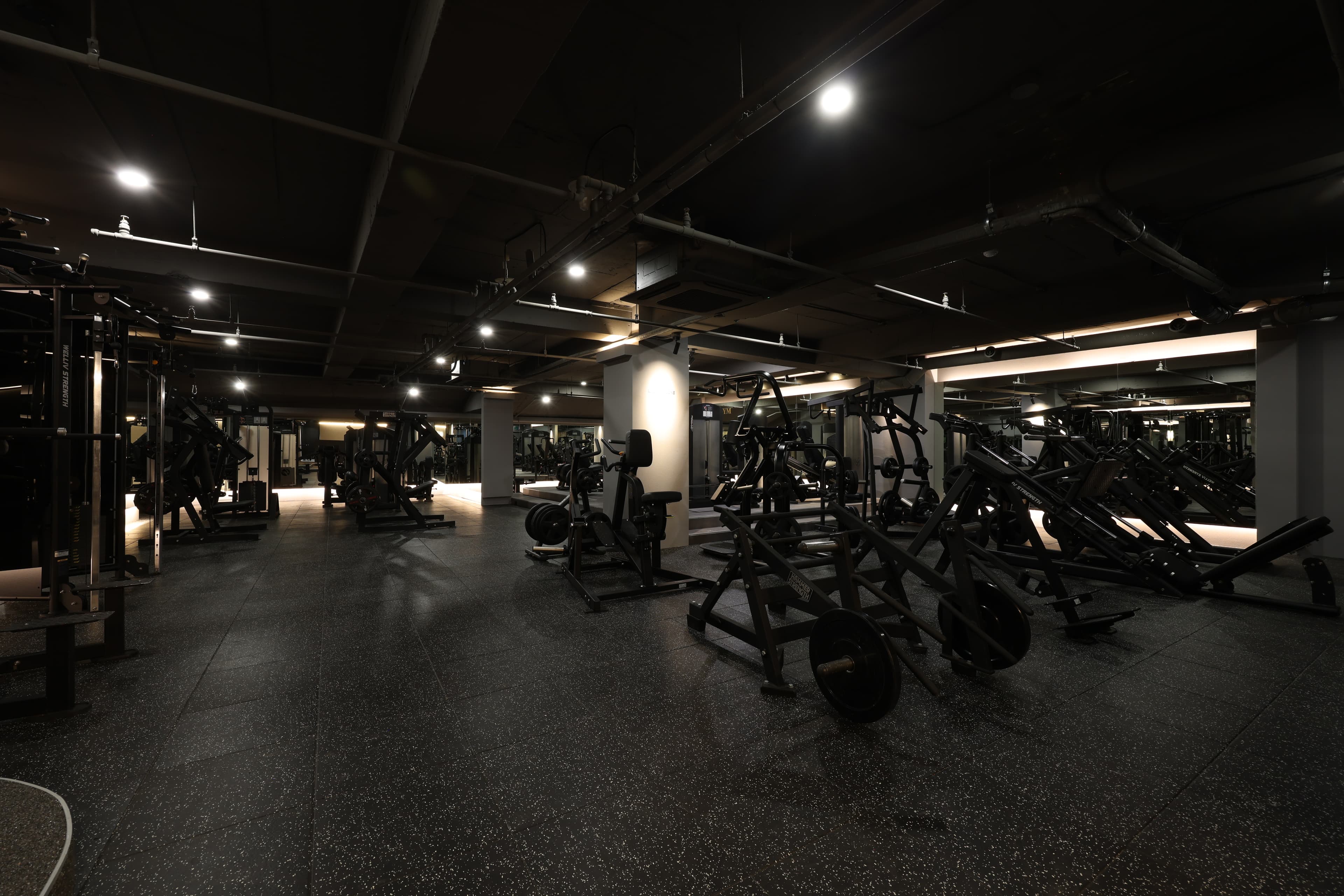 Photo by https://kr.object.ncloudstorage.com/fibud-storage/fibud/prod/origin/resume/260.jpg