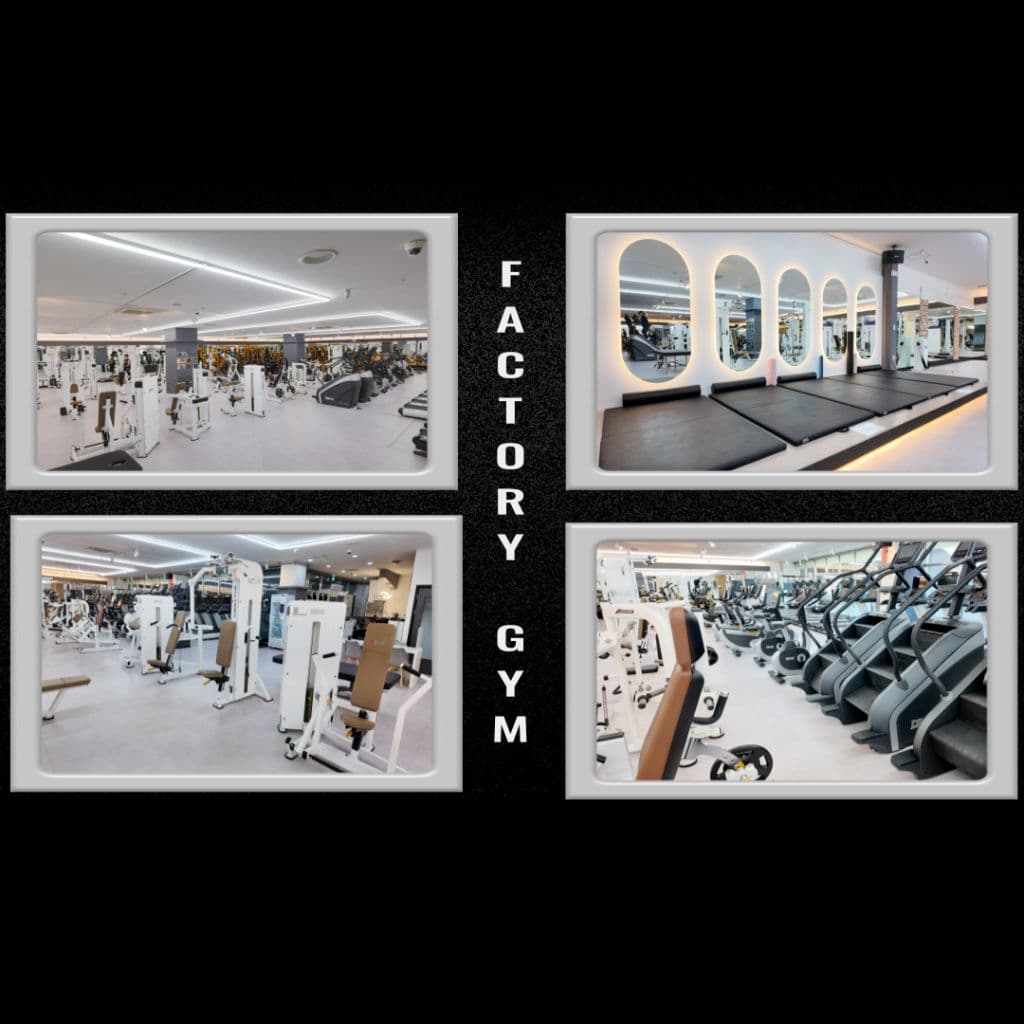 Photo by https://kr.object.ncloudstorage.com/fibud-storage/fibud/prod/origin/resume/32.jpg