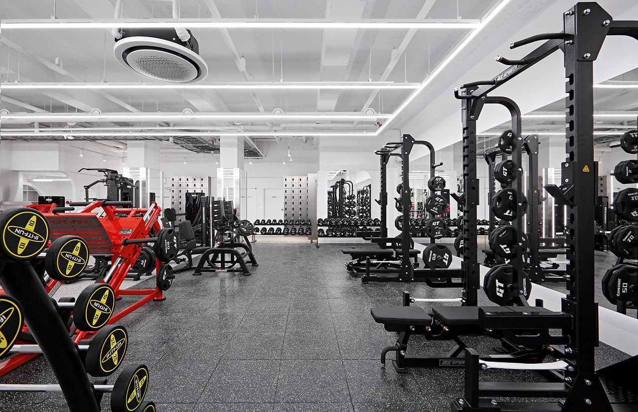 Photo by https://kr.object.ncloudstorage.com/fibud-storage/fibud/prod/origin/resume/332.jpg