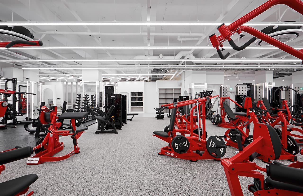 Photo by https://kr.object.ncloudstorage.com/fibud-storage/fibud/prod/origin/resume/333.jpg