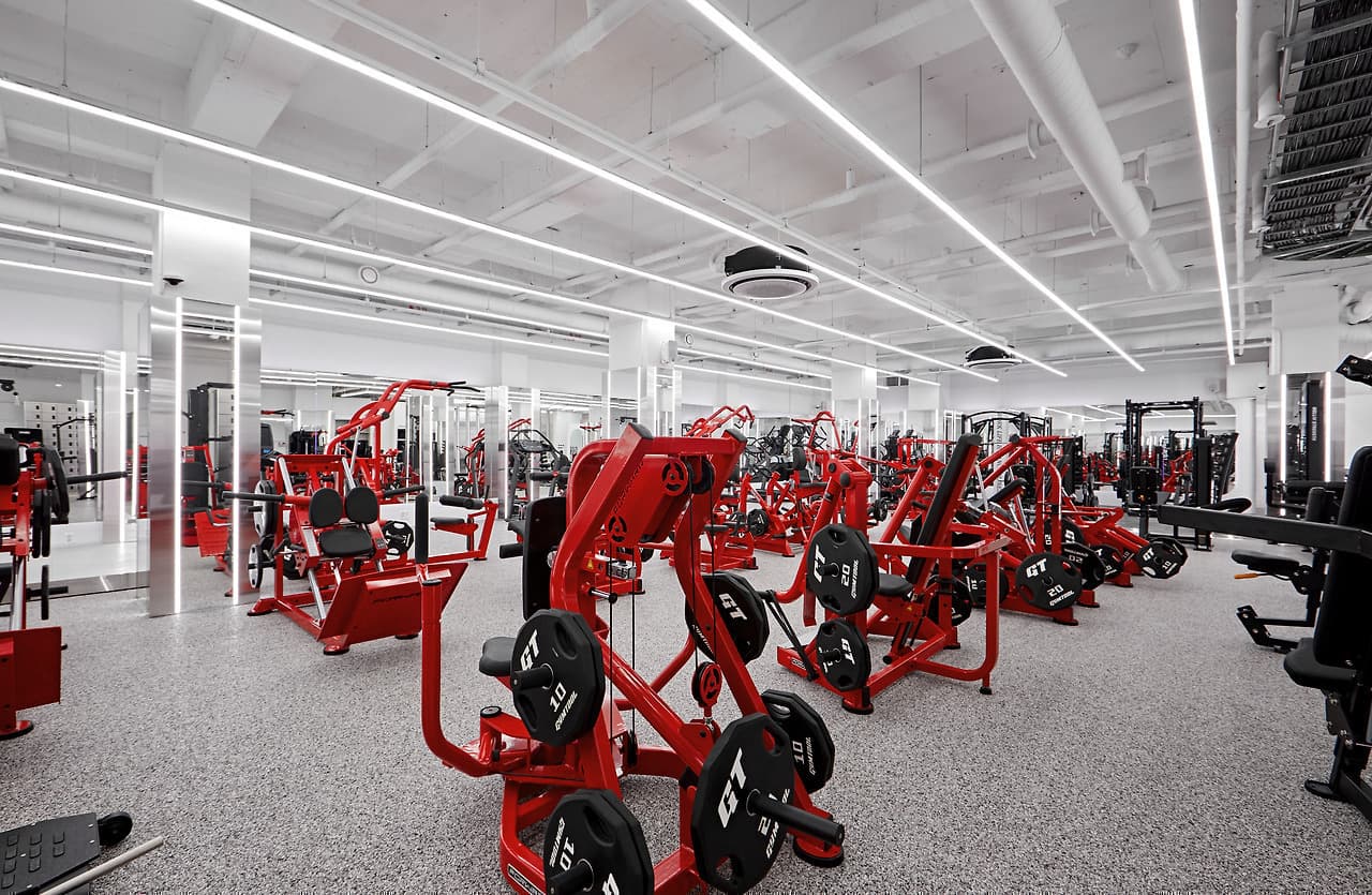 Photo by https://kr.object.ncloudstorage.com/fibud-storage/fibud/prod/origin/resume/335.jpg