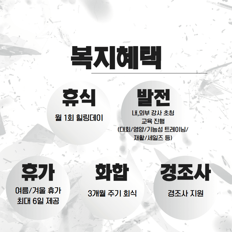 Photo by https://kr.object.ncloudstorage.com/fibud-storage/fibud/prod/origin/resume/416.png