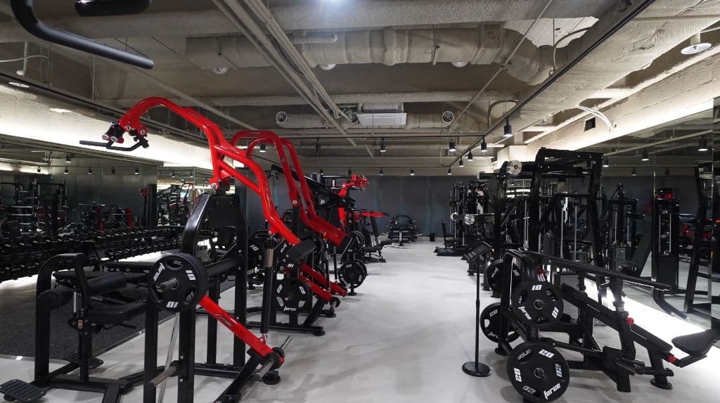 Photo by https://kr.object.ncloudstorage.com/fibud-storage/fibud/prod/origin/resume/438.jpg