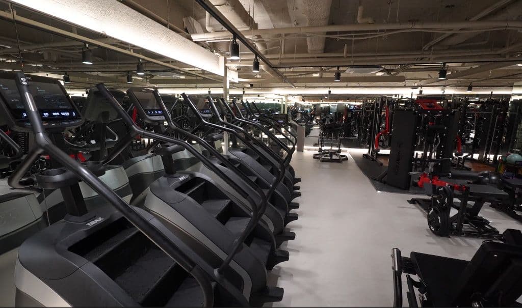 Photo by https://kr.object.ncloudstorage.com/fibud-storage/fibud/prod/origin/resume/441.jpg