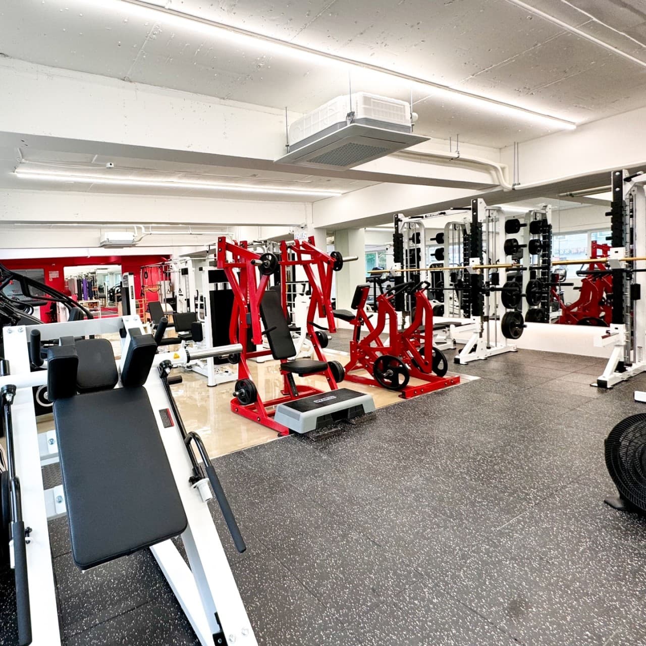 Photo by https://kr.object.ncloudstorage.com/fibud-storage/fibud/prod/origin/resume/78.jpg