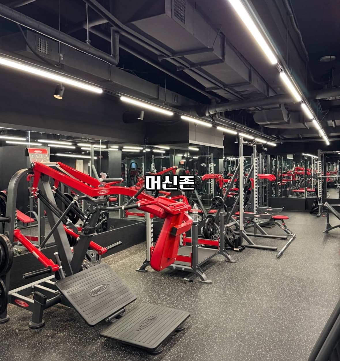 Photo by https://kr.object.ncloudstorage.com/fibud-storage/fibud/prod/origin/resume/89.jpg