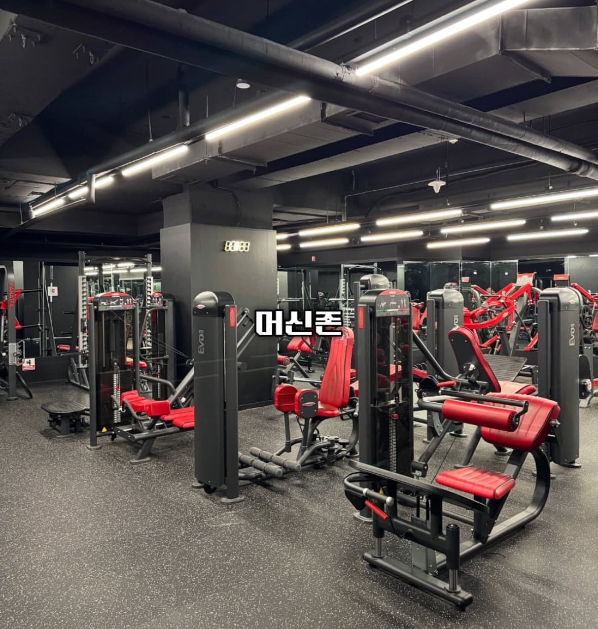 Photo by https://kr.object.ncloudstorage.com/fibud-storage/fibud/prod/origin/resume/90.jpg