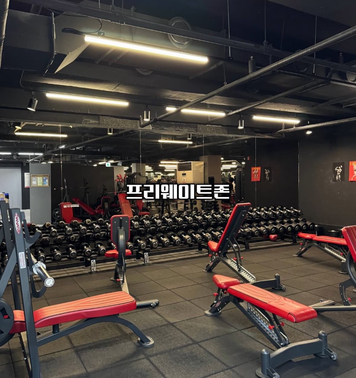 Photo by https://kr.object.ncloudstorage.com/fibud-storage/fibud/prod/origin/resume/91.jpg