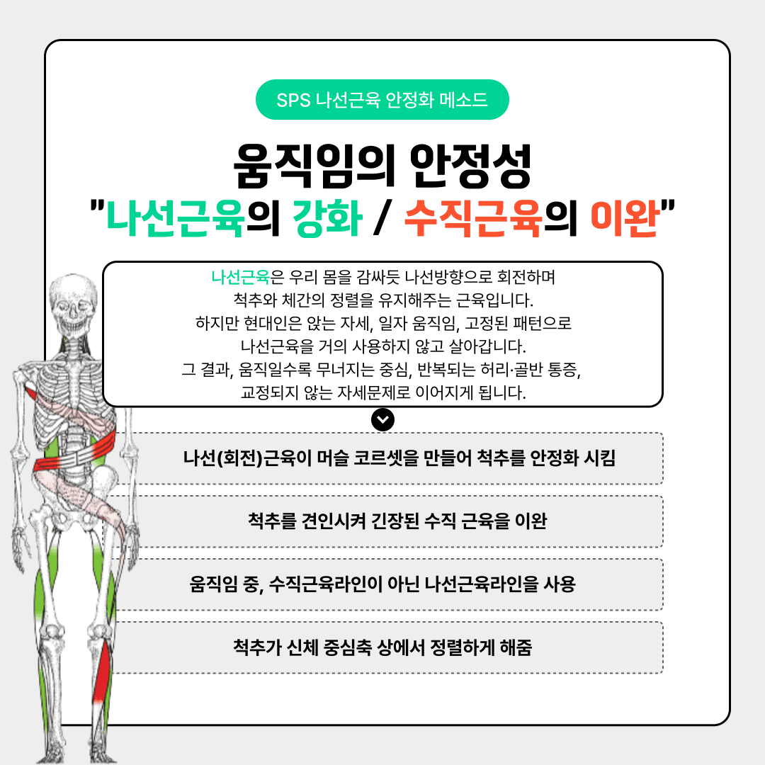 SPS 나선근육 척추 안정화 메소드 트레이너 레벨 1 코스 2