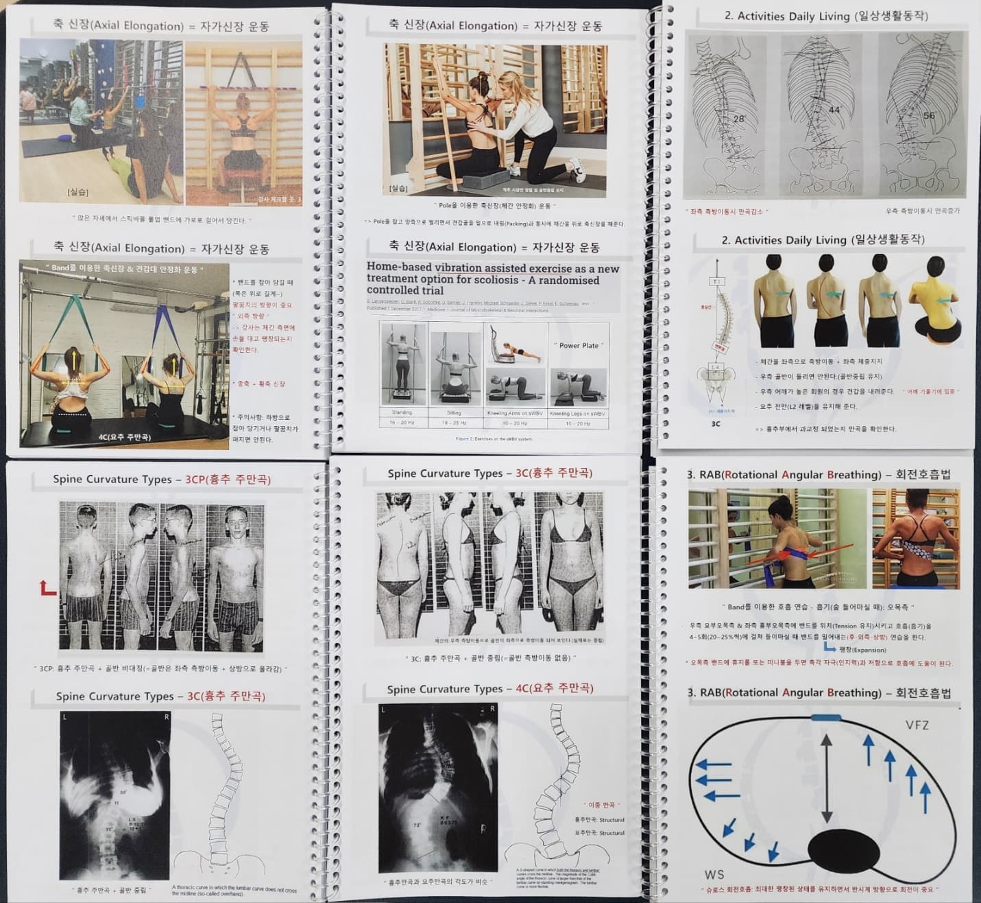 척추측만증 교정 - 독일식 슈로스 운동(Schroth Method) 전문가 과정 Basic Course 5