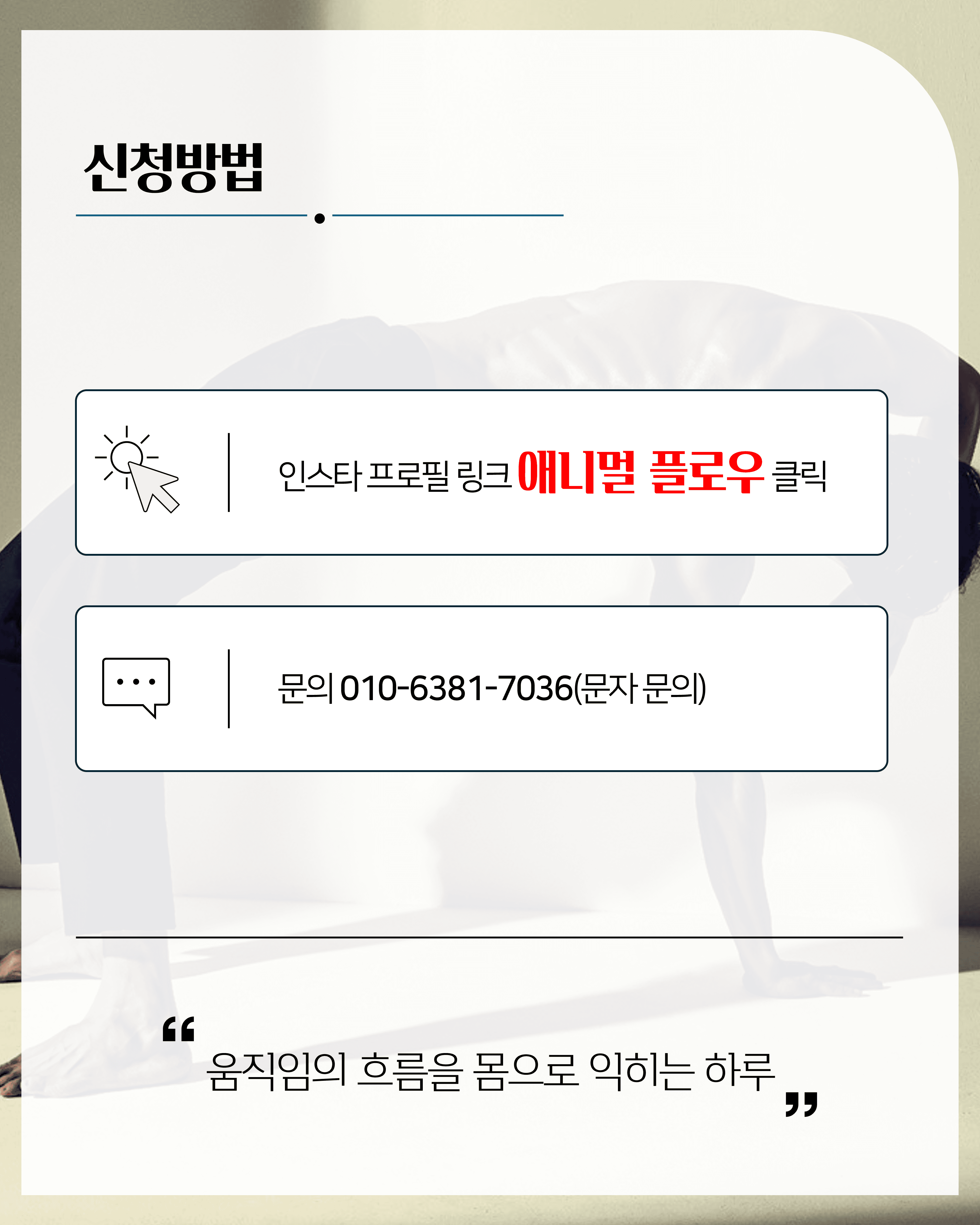 애니멀플로우 베이직 1/2 실기세미나 7