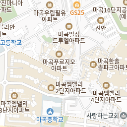 신경가동성(Neurodynamic) 재활운동 교육강좌 9
