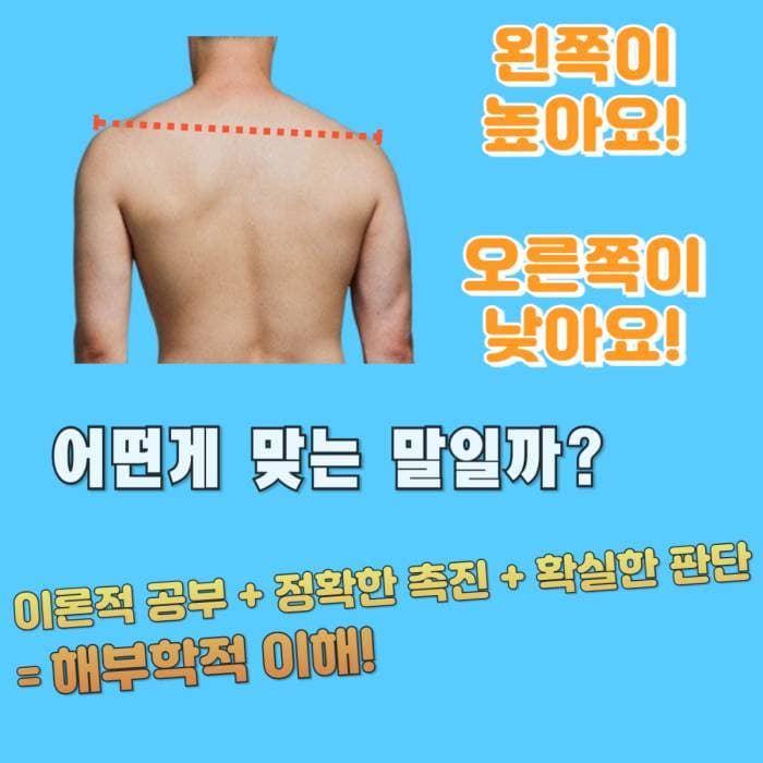 만져보고 느껴보며 이해하는 신비한 인체구조 3