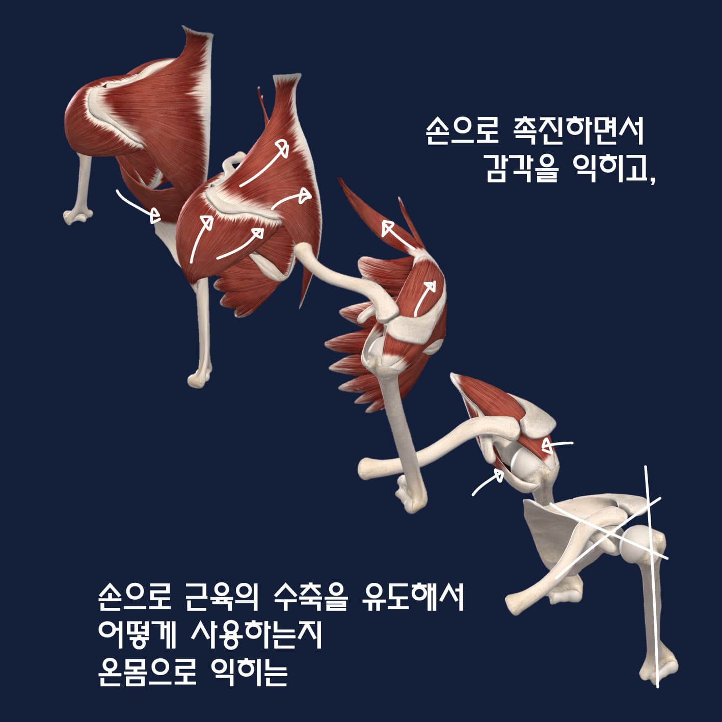 CES 왕초보 기능해부학 46기 서울 평일반 3