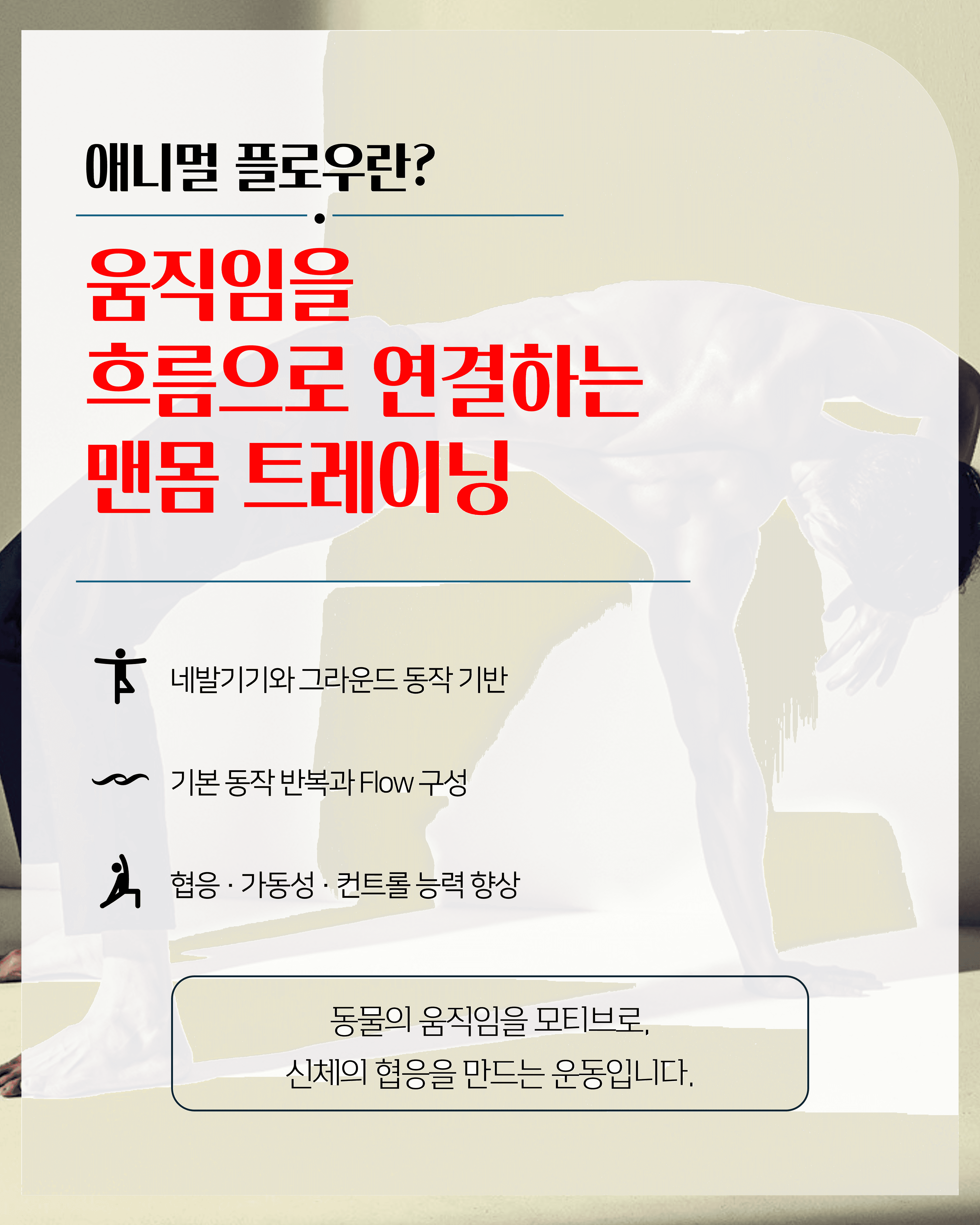 애니멀플로우 베이직 1/2 실기세미나 2
