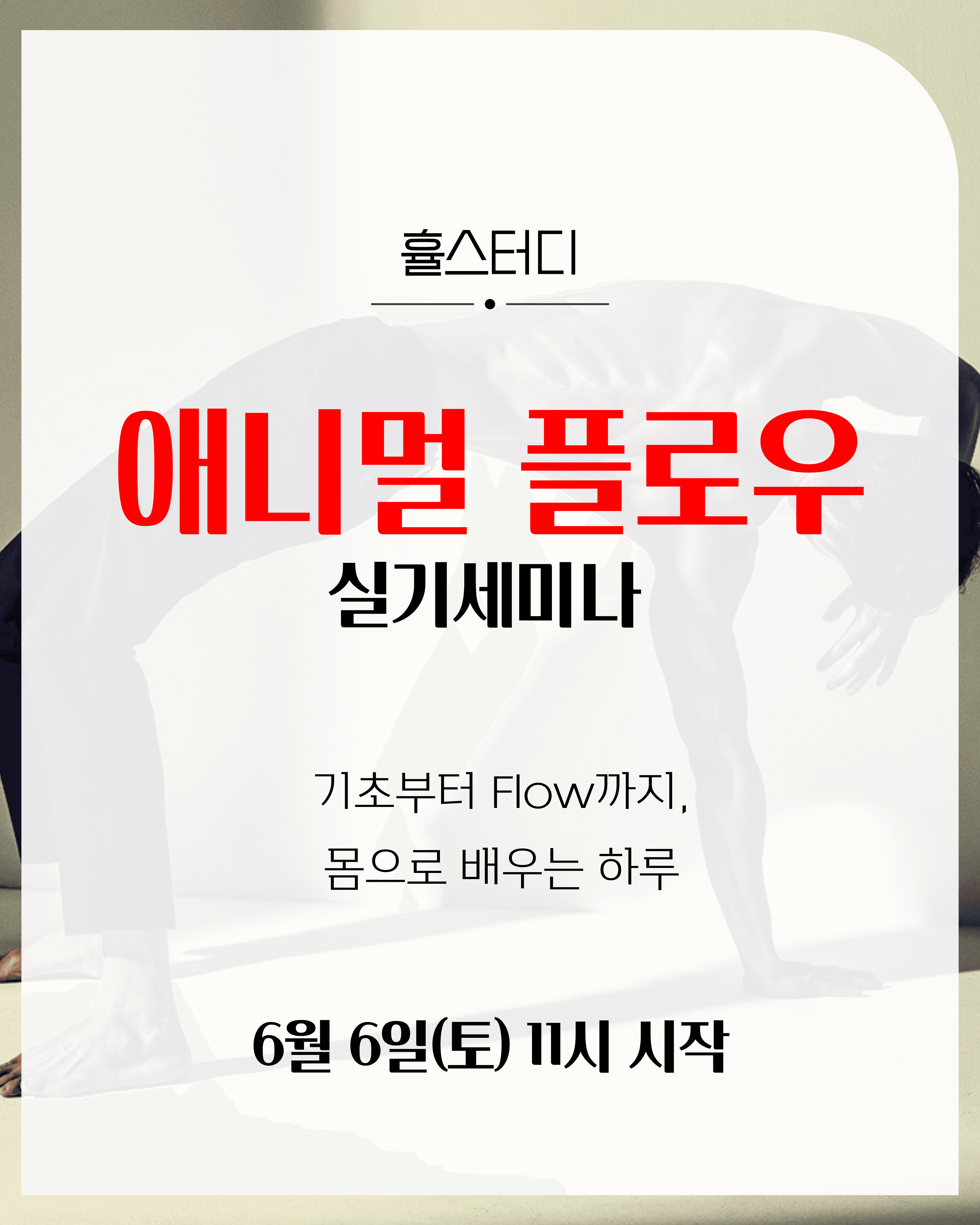 애니멀플로우 베이직 1/2 실기세미나 1