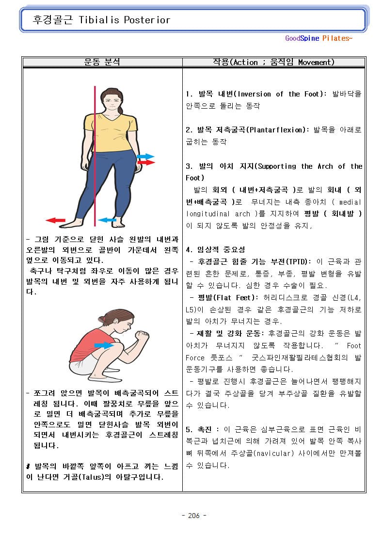 굿스파인재활필라테스협회 필라테스 지도자 자격증 11