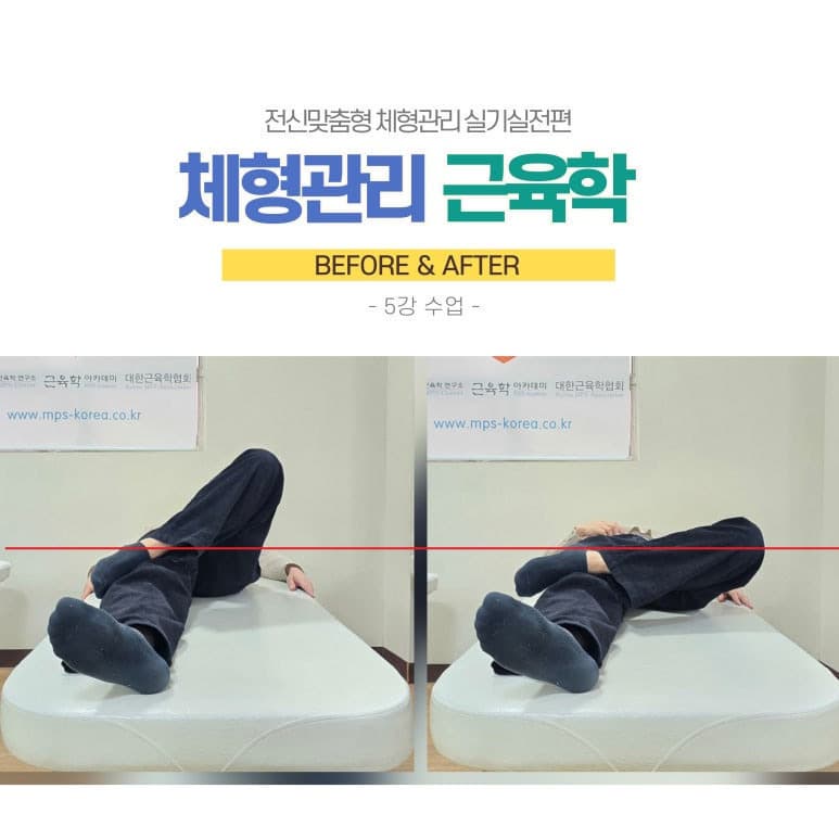 박시현선생님의 근육학매뉴얼 실기강좌 - 체형관리 근육학(5주) 5