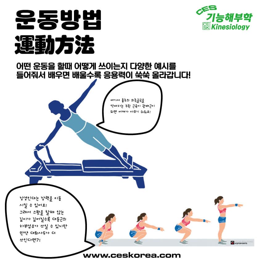 CES 왕초보 기능해부학 44기 7