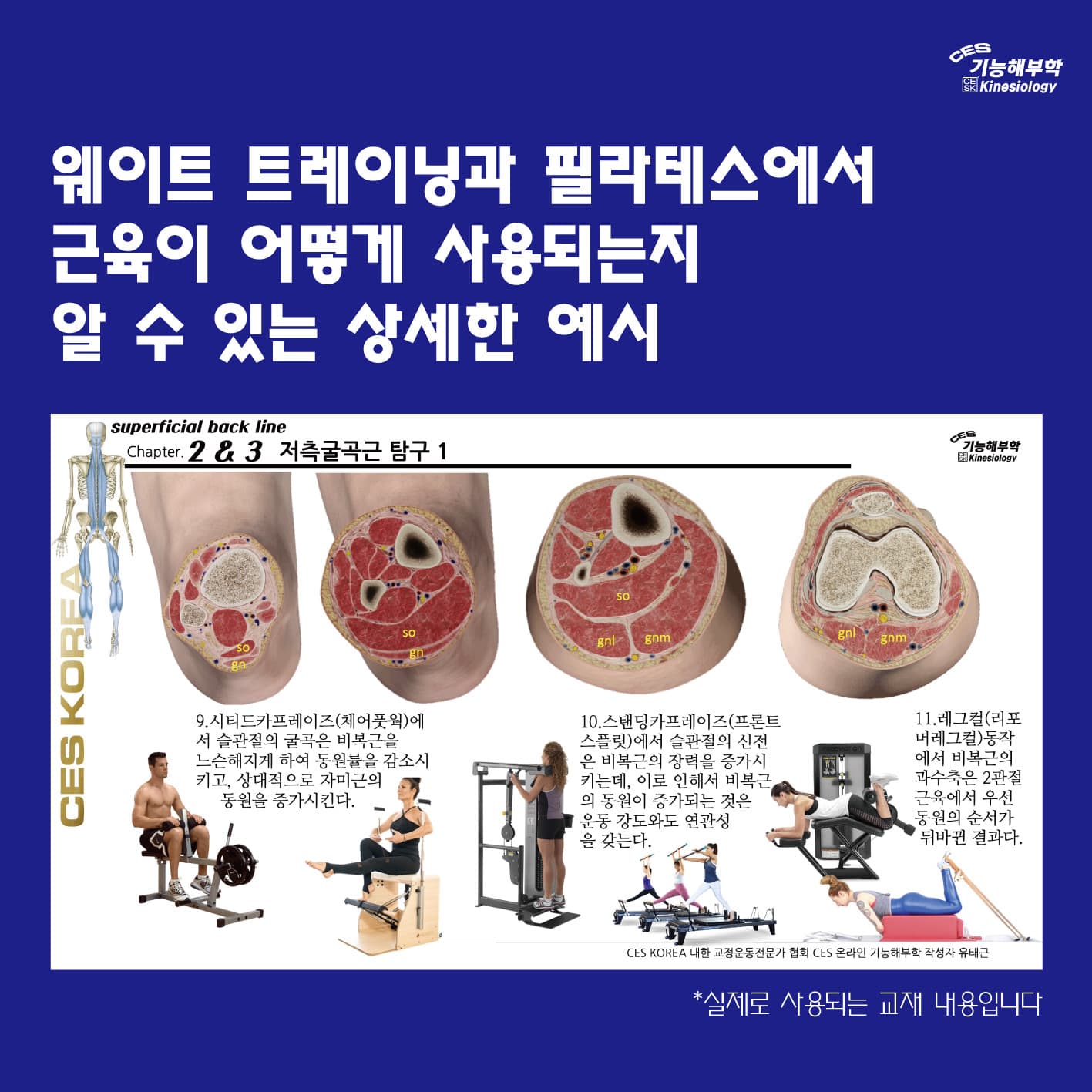 CESKOREA 전문가를 위한 기능해부학 12기 4