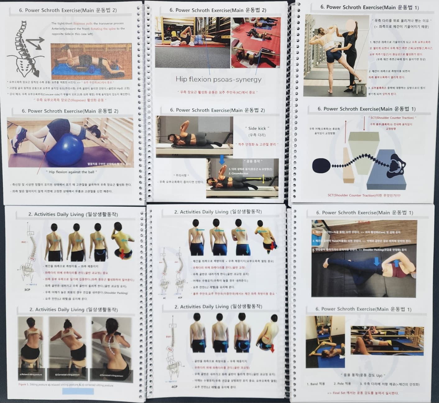 척추측만증 교정 - 독일식 슈로스 운동(Schroth Method) 전문가 과정 Basic Course 4