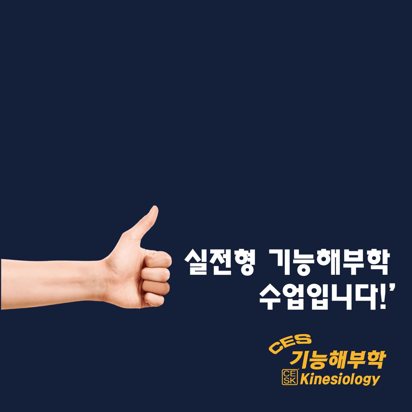 CES 왕초보 기능해부학 46기 서울 평일반 4